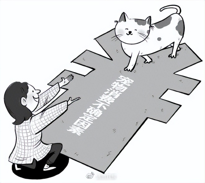 宠物消费纠纷解决,宠物购买纠纷如何处理