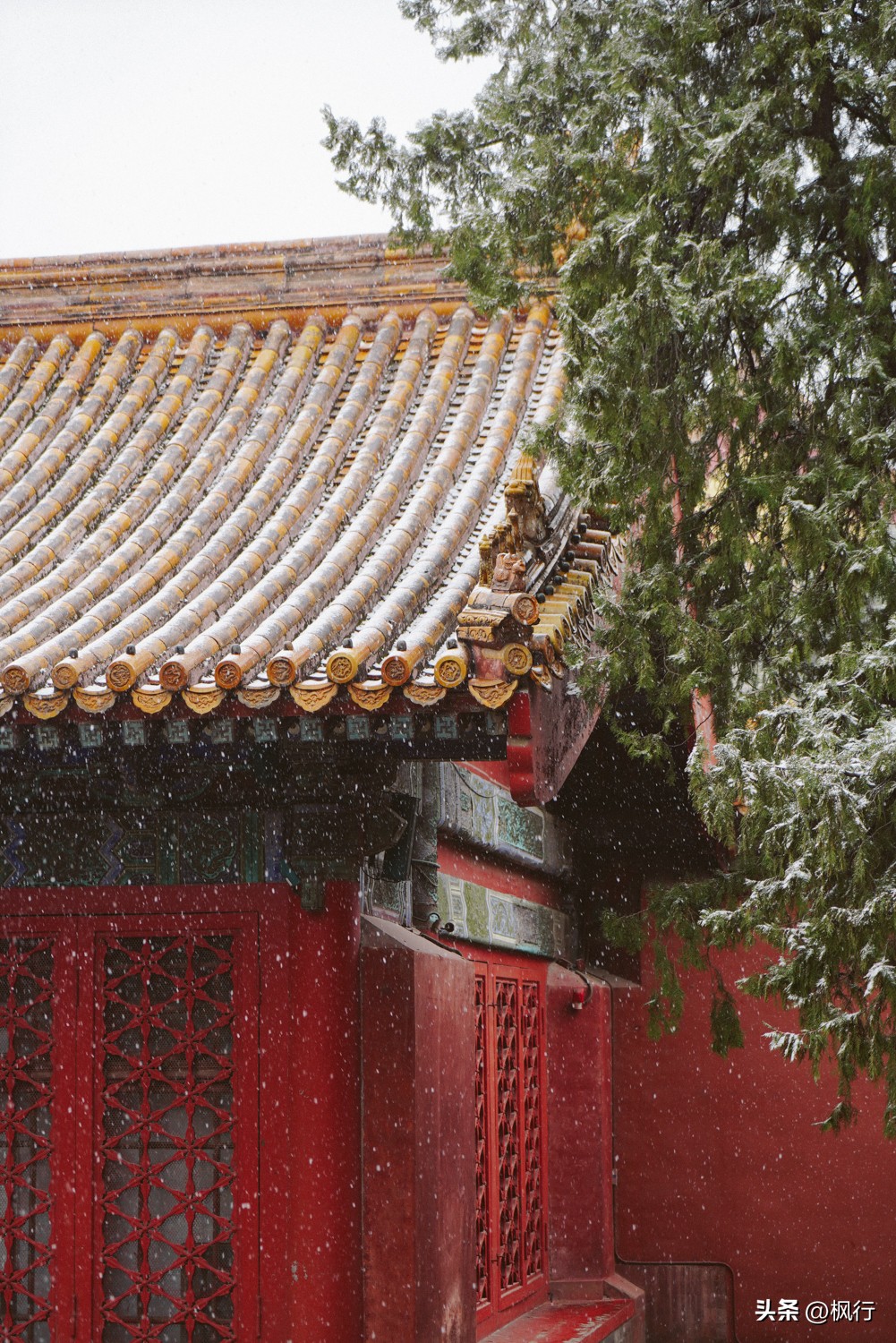 故宫开启雪景模式北京迎今冬初雪,北京下雪去哪里看故宫最好看