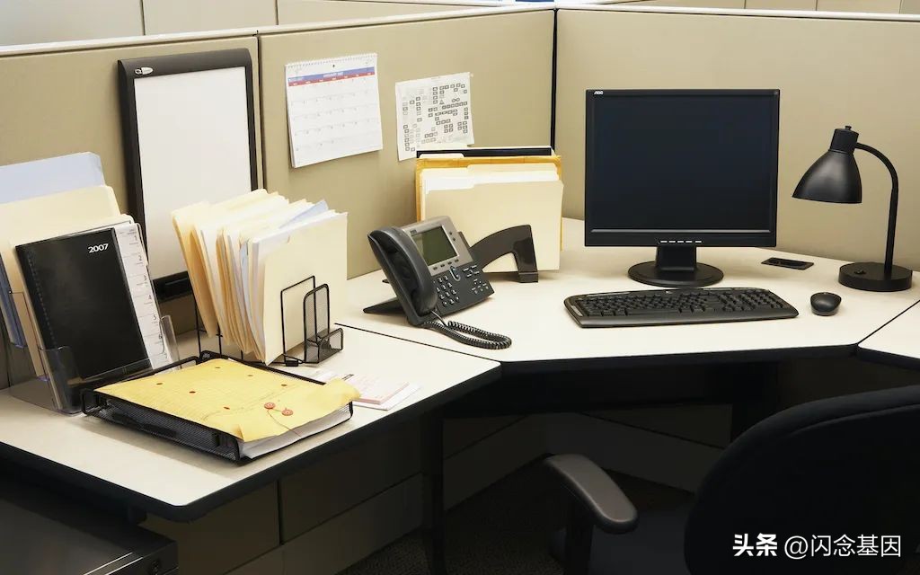 编程最难的是算法吗,编程入门的十大基础知识