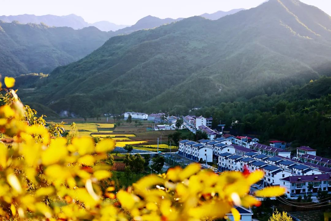 让群众在村级“三务”、发展规划等方面掌握“话语权”！郧西县委书记查宏：区域联合*党**建共绘美好生活