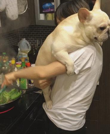 搞笑gif动图素材,搞笑gif动图哪里找素材