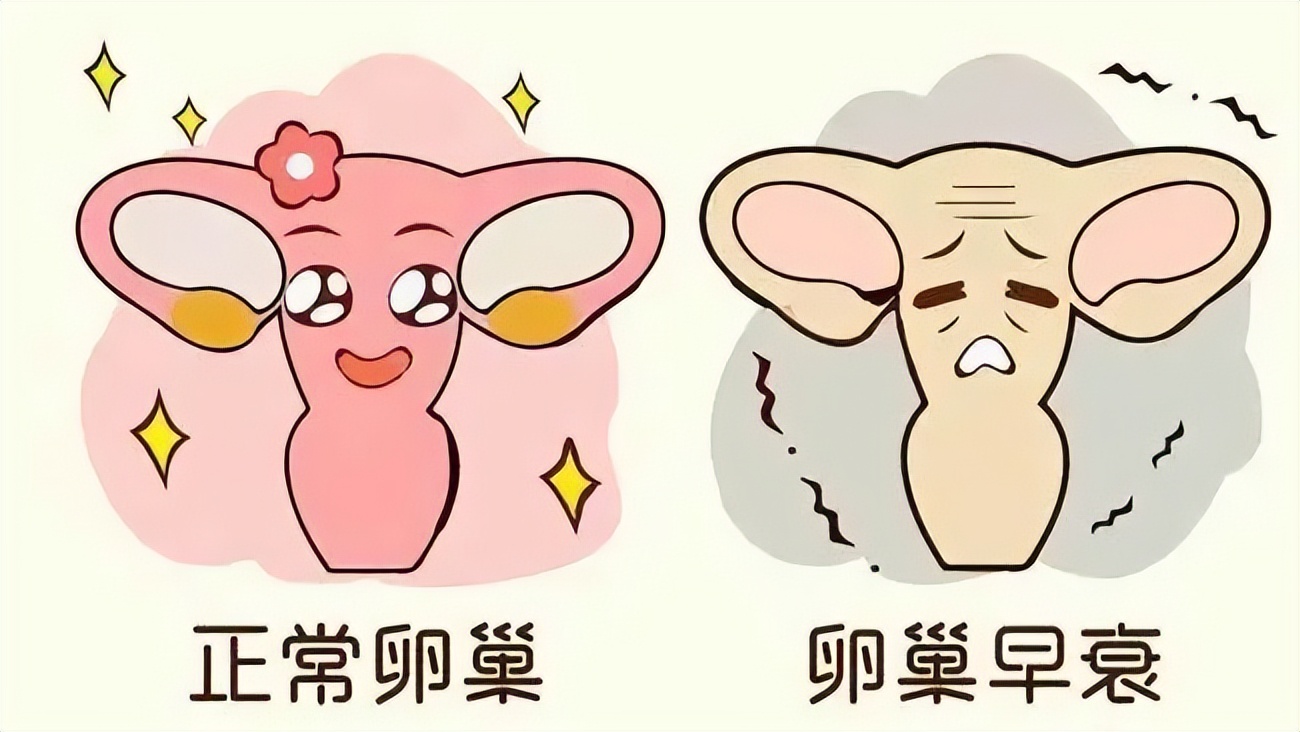 绝经后切除子宫对身体有什么影响,子宫切除后有什么影响