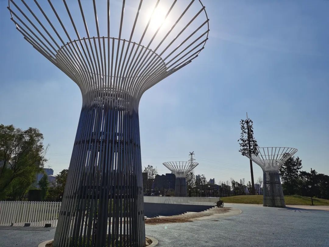 常州市内有哪些湿地公园,常州市新北区生态公园