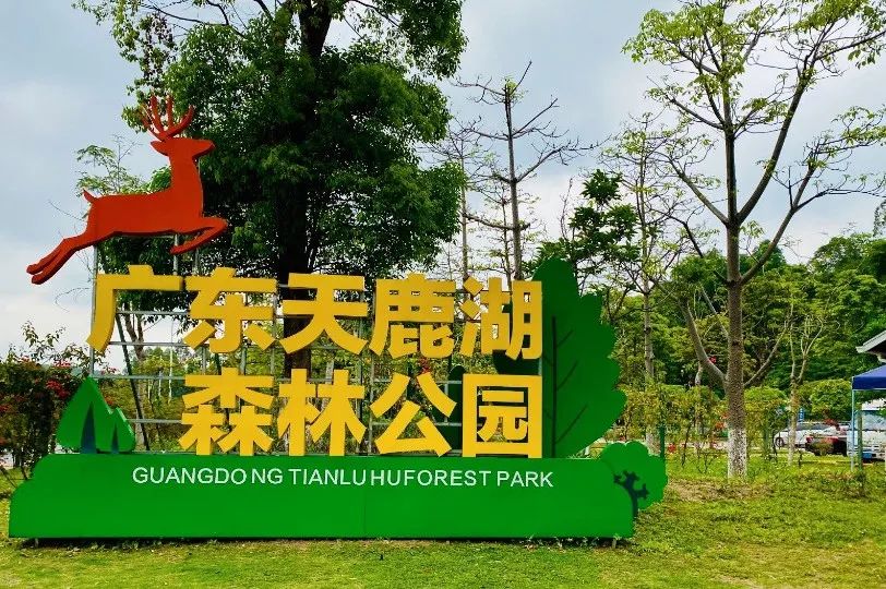 合生中央城最新房价,合生中央城清明特价房