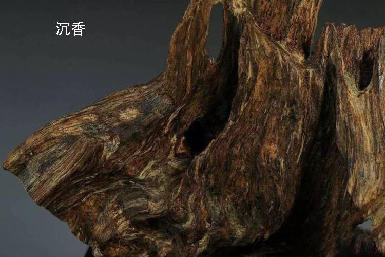 一两沉香万两金国内公认,一两沉香木