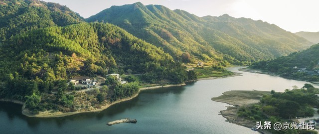 罕见！一头“牛魔王”闯入农户牛圈，体重达1吨，且能打败老虎？