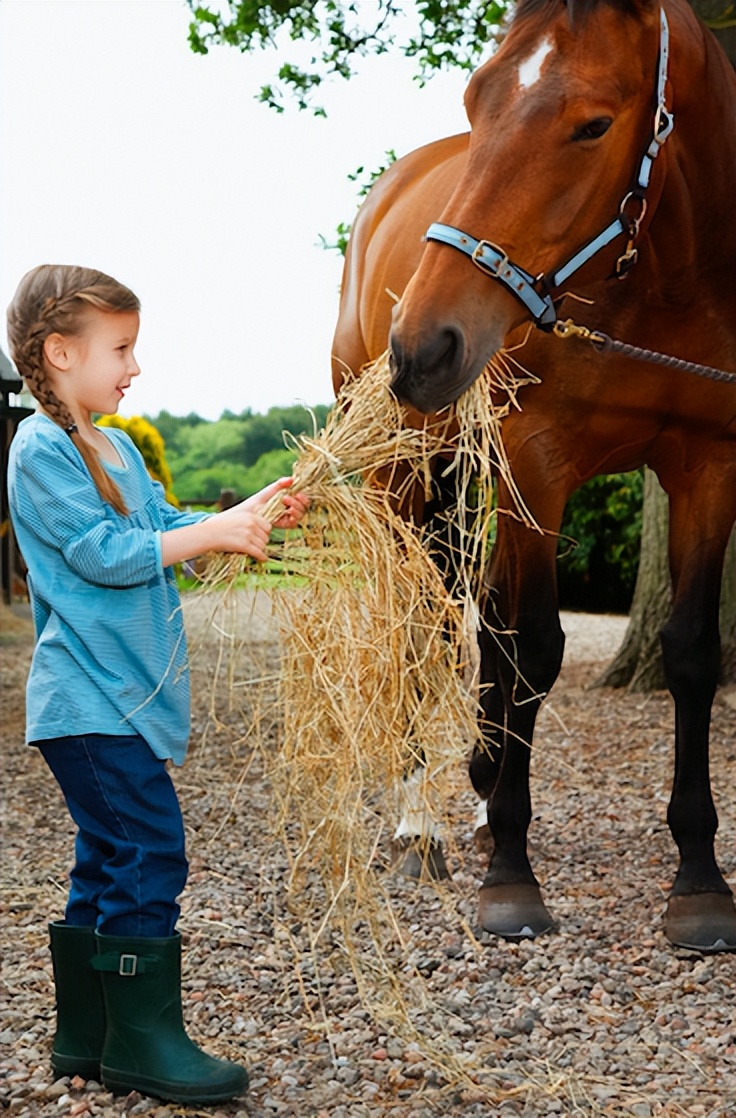 多大可以练习骑马,骑马学多久才能策马奔腾