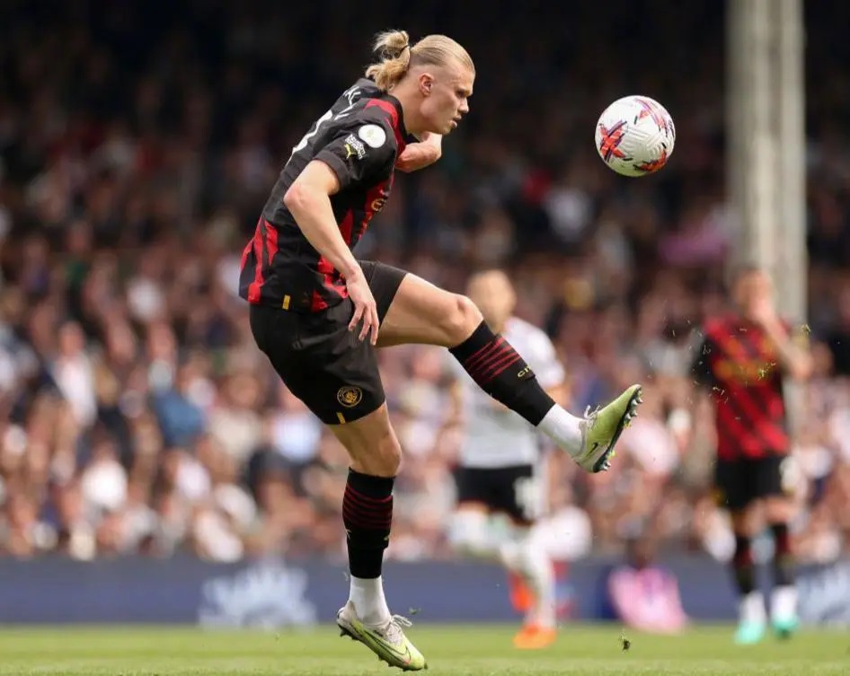 欧冠决赛小熊破门球迷欢呼,小熊和罗德里戈欧冠曼城庆祝