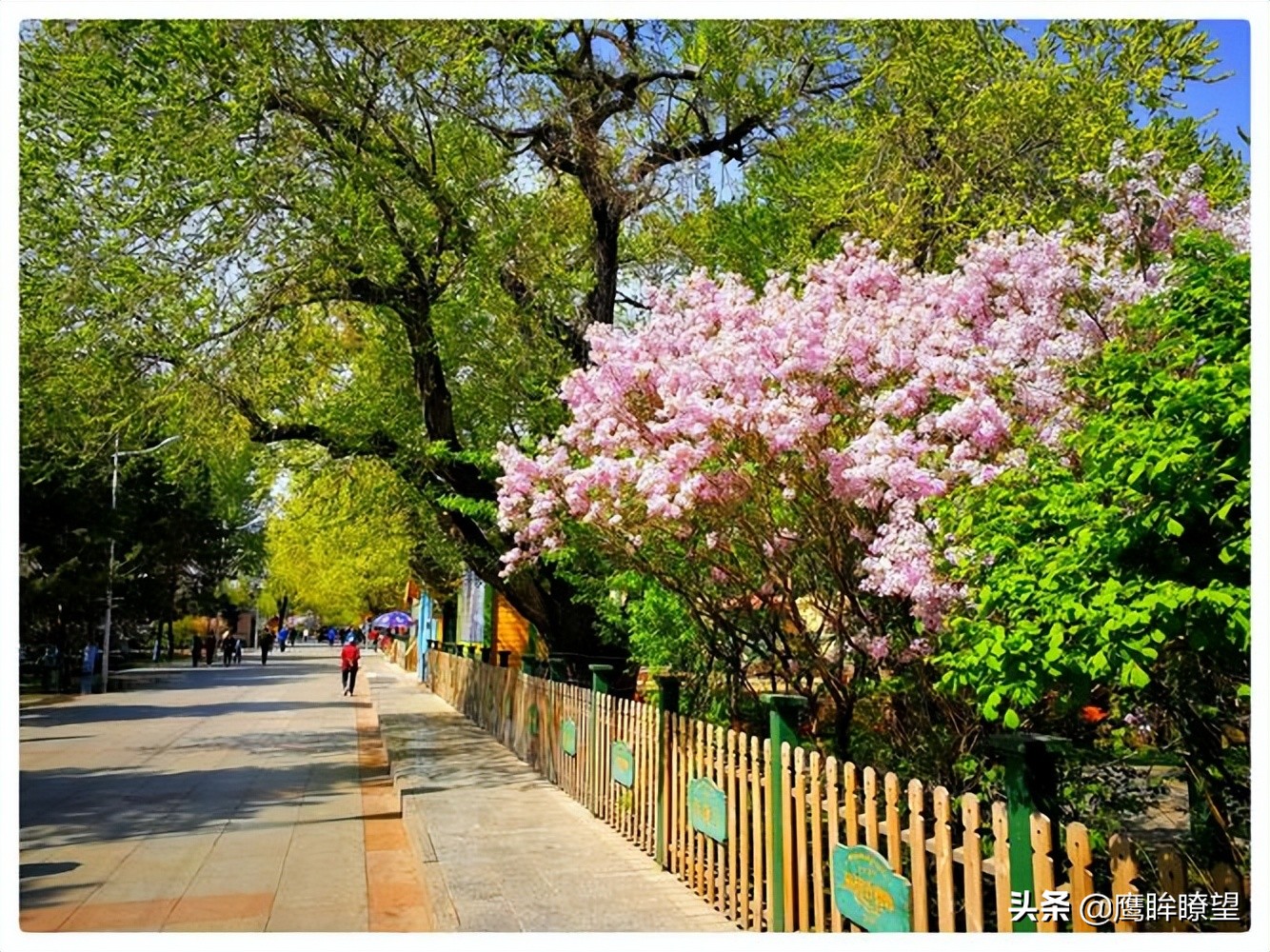 东北有座小城,东北有座城市