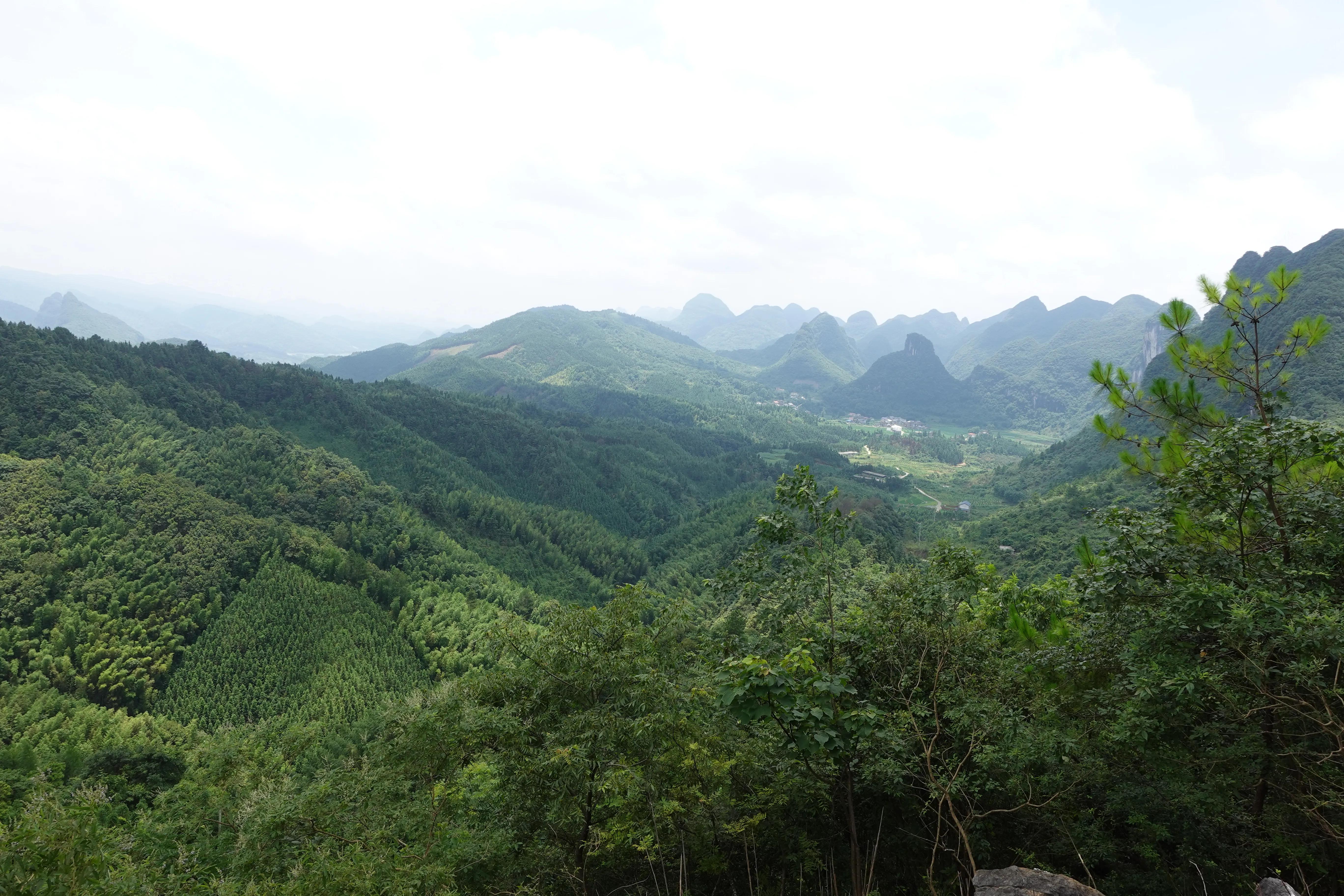 找蜜蜂专用望远镜,望远镜找蜜蜂方法视频