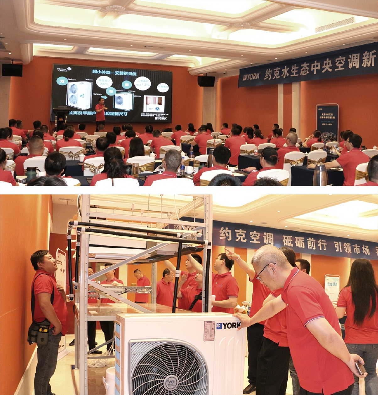 约克小户型系列,约克郡北区小户型