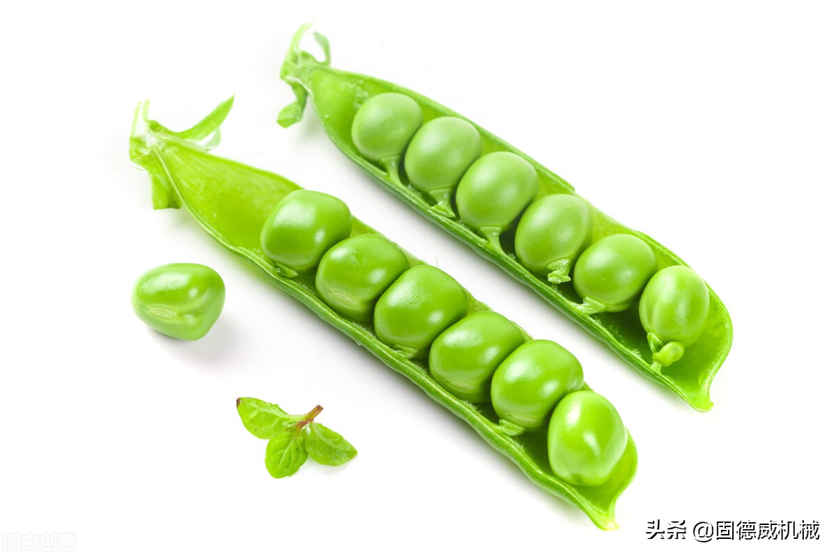 贵州豌豆淀粉加工,豌豆淀粉加工厂