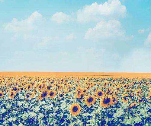 兴趣是最好的老师作文600字,兴趣作文中考范文