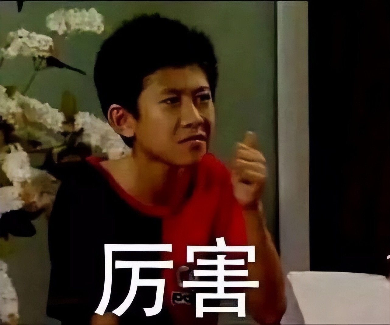 近20年评分最高十部电视剧,近40年优秀电视剧排名