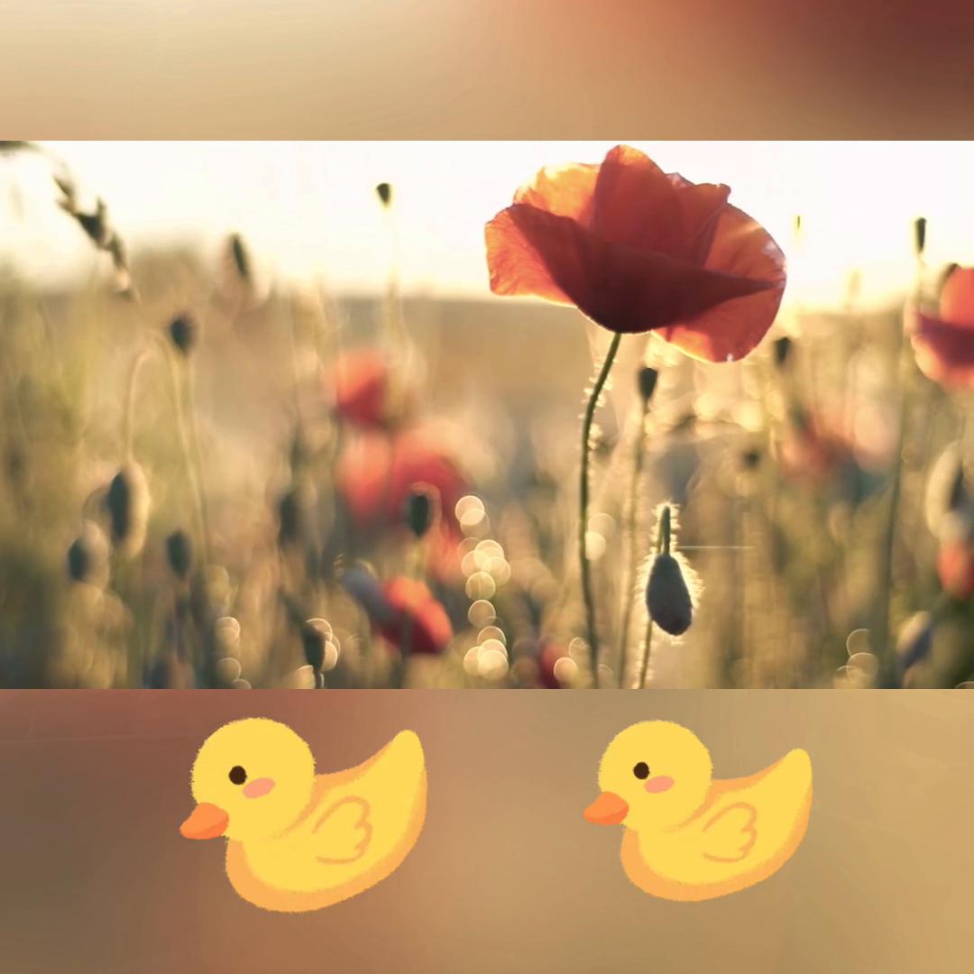 离婚三个月我怀孕了小说结局,离婚三个月我怀孕了知乎