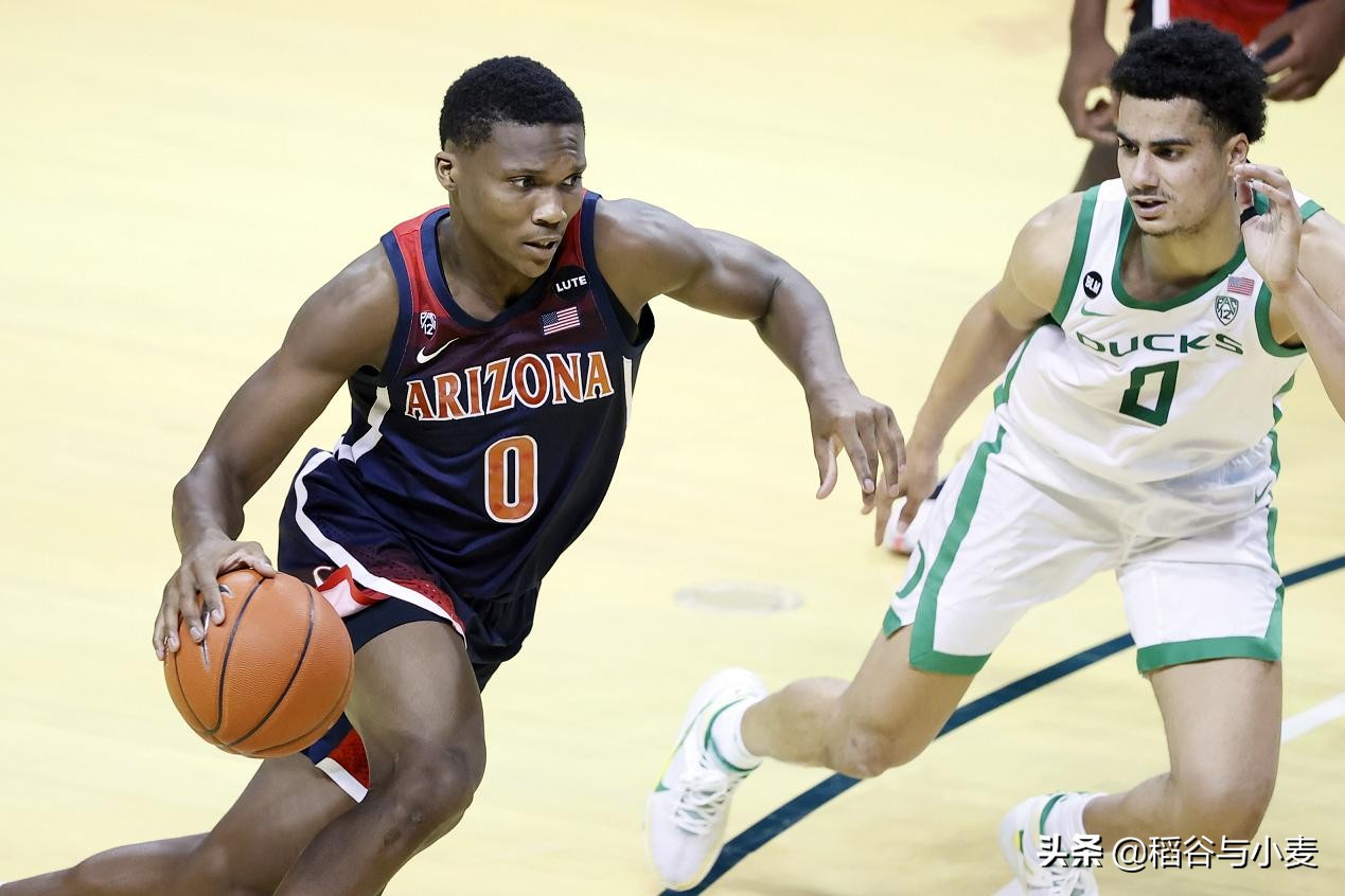 锋卫摇摆人状元,锋卫摇摆人新秀赛季