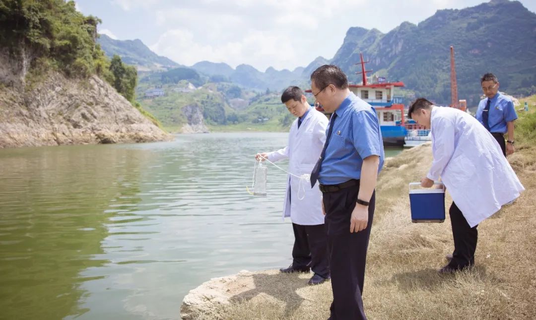 最高法院办理生态环境公益诉讼,检察院公益诉讼典型案例课程