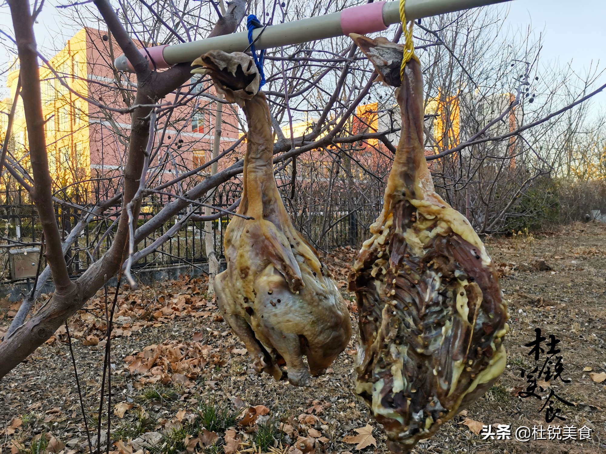 在家做风干鸡，只加盐可不行，多加4料更鲜香，过年下酒就靠它