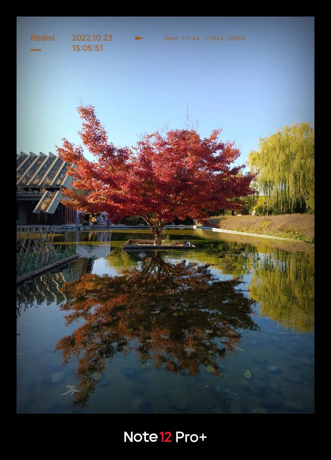 redminote114g拍照效果,redminote11拍照效果好吗