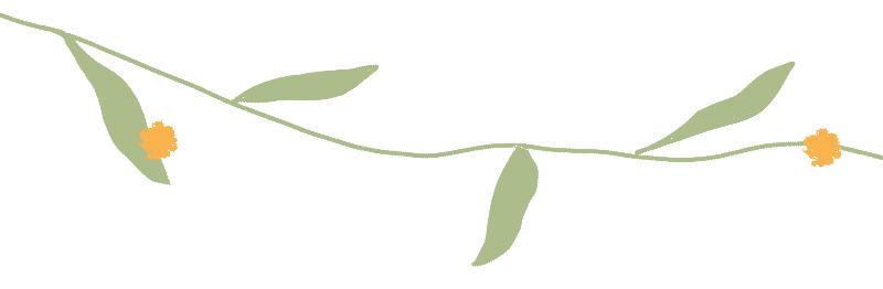 他与她谢凌烨完整版,他与她的世界末日