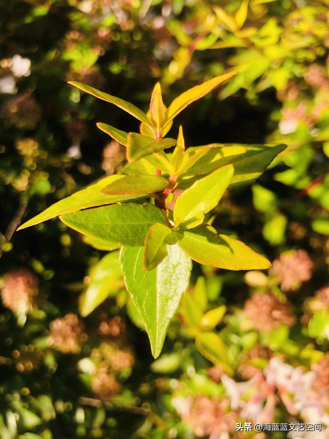 纪实小说：谁看不起你