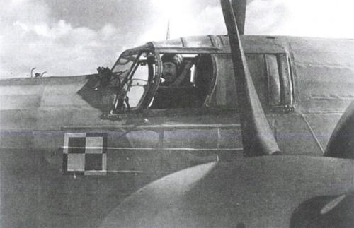 漂泊的鱼完整版,漂泊的鱼鹰