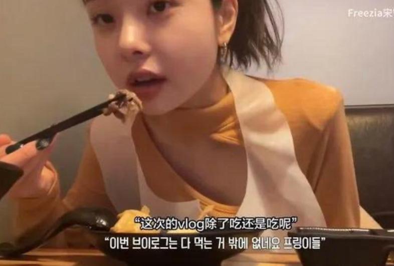 宋智雅在韩综片段 (宋智雅韩综视频)