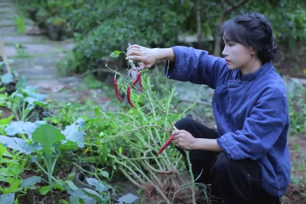 李子柒停更一年，外网视频*放播**还能产生广告收益，高达78万元每月