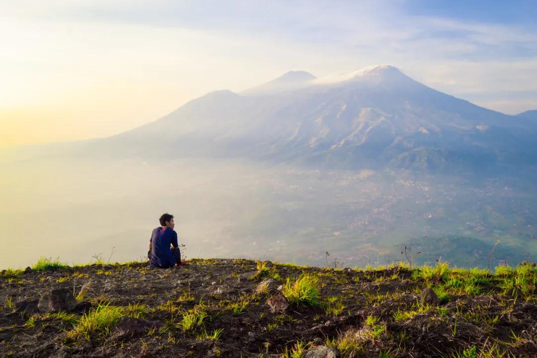 这个猫头鹰的故事，说透了强者的生存法则