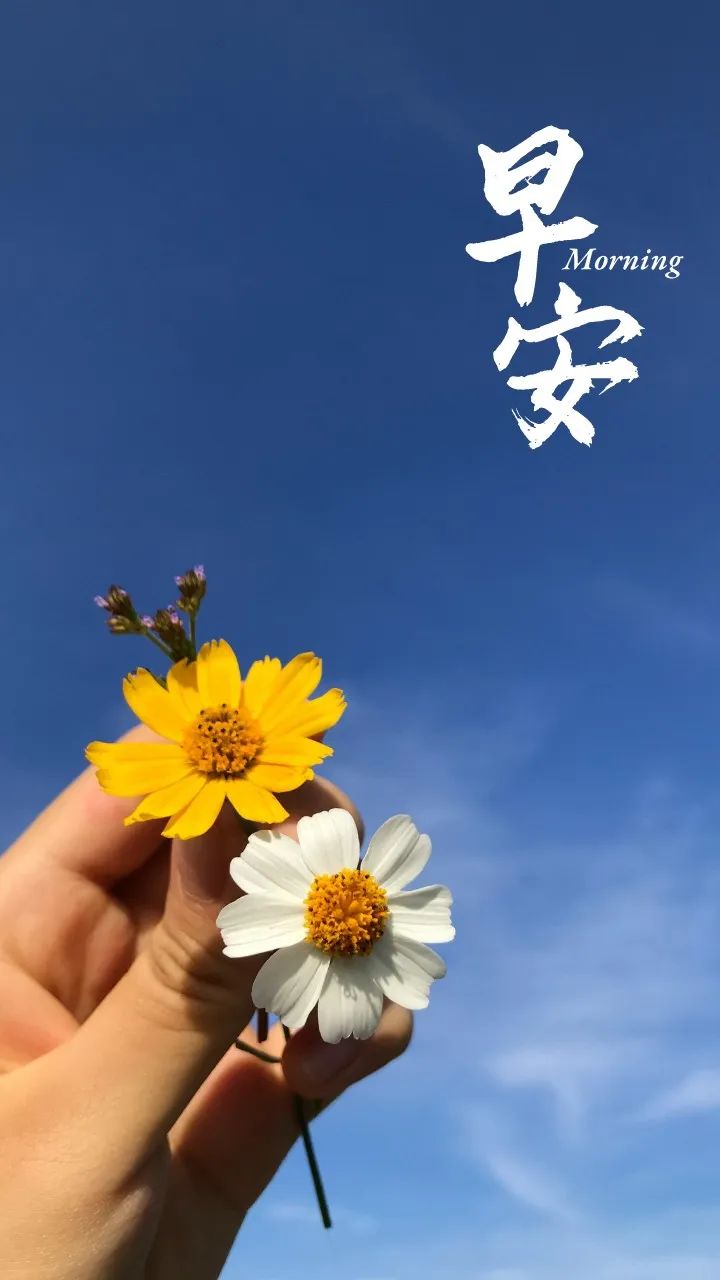 早安心语每日一语励志短句图片,早安问候语正能量努力的短句图片