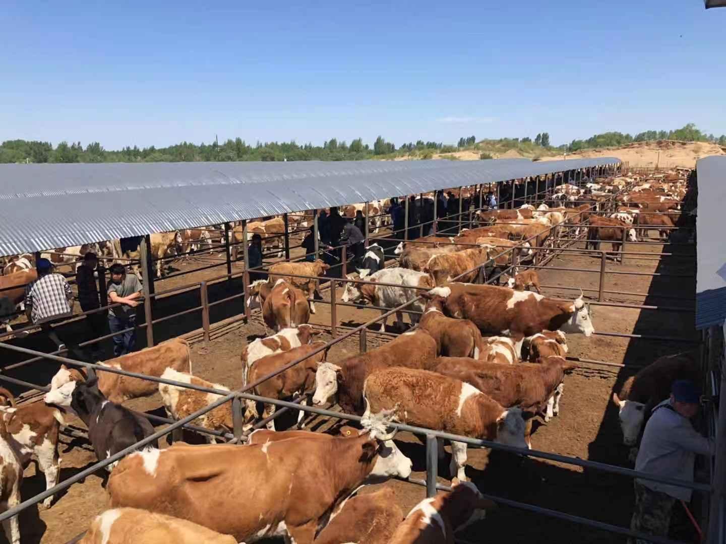 巴胡塔苏木简介,科左后旗巴胡塔