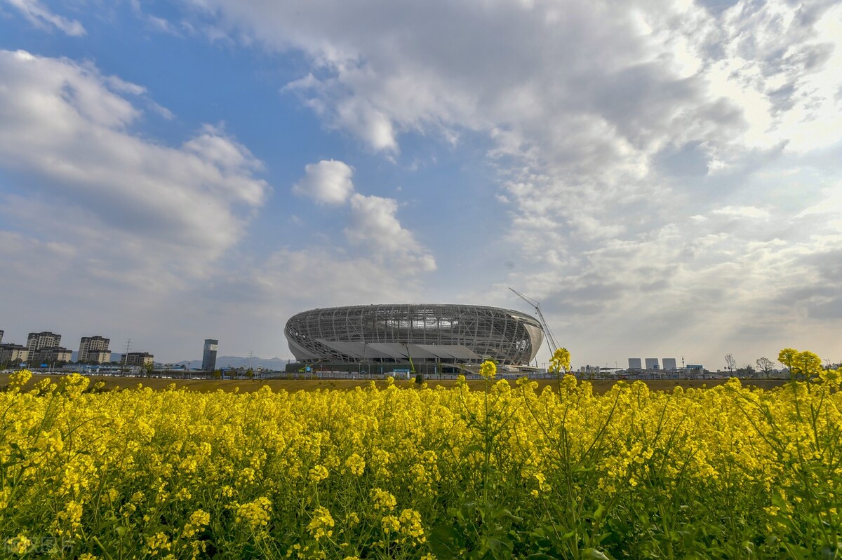 重庆有望迎来首座专业足球场,重庆专业足球场进度