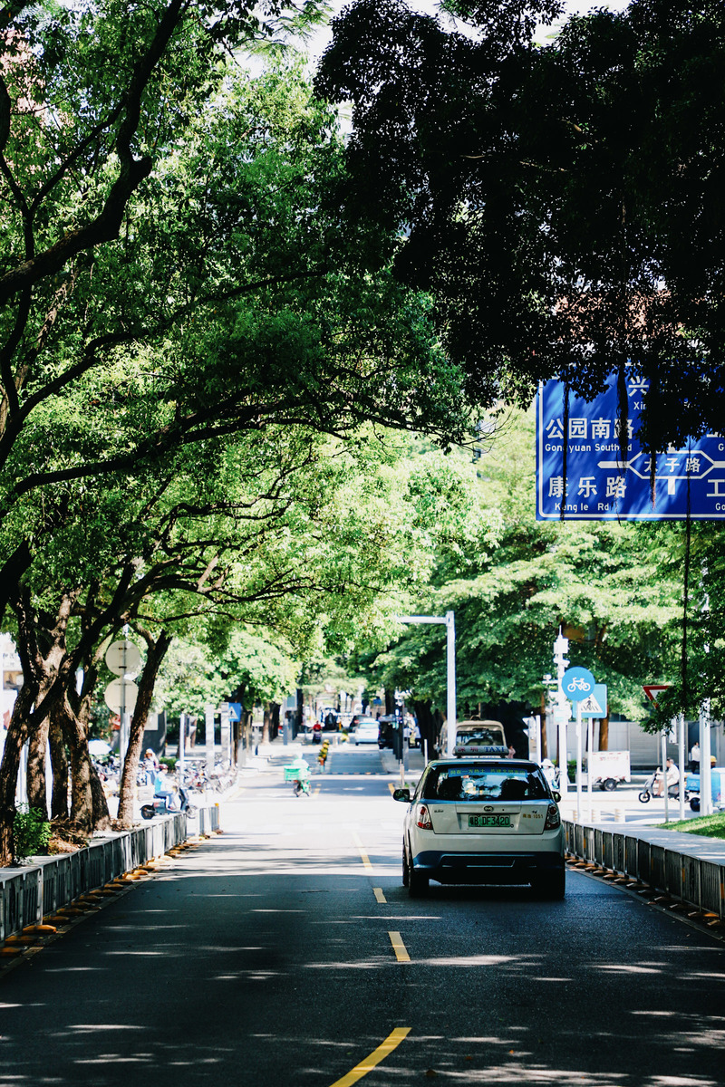 深圳市蛇口攻略,深圳海岛蛇口