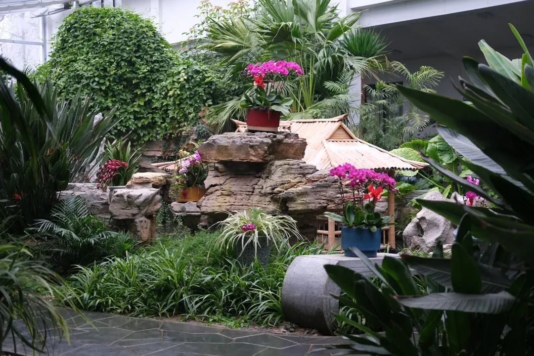 2023泉城新春贺年会来啦!灯会庙会游园会统统都有