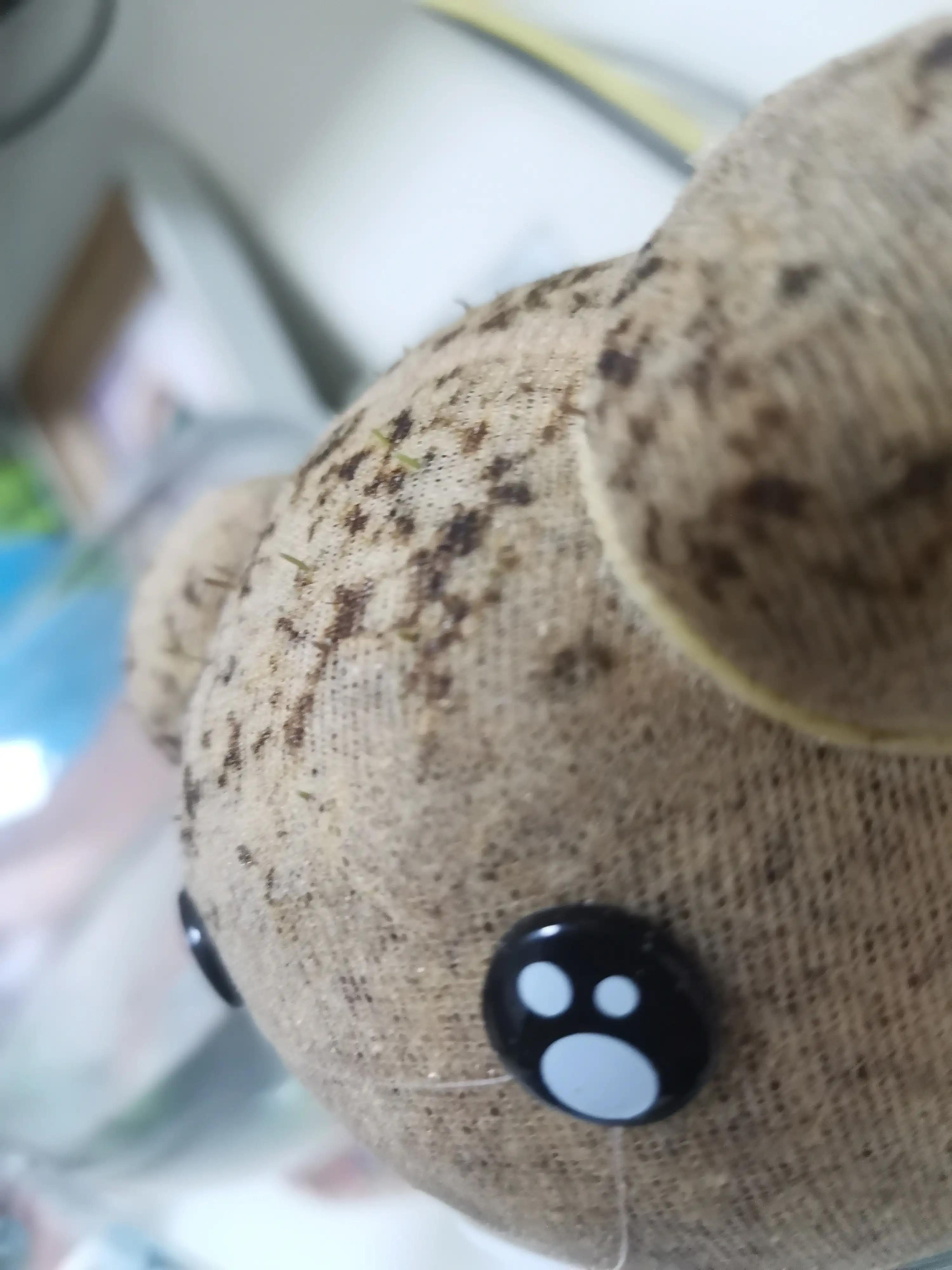 草娃娃沉不下去怎么办,草娃娃长出虫子是什么原因