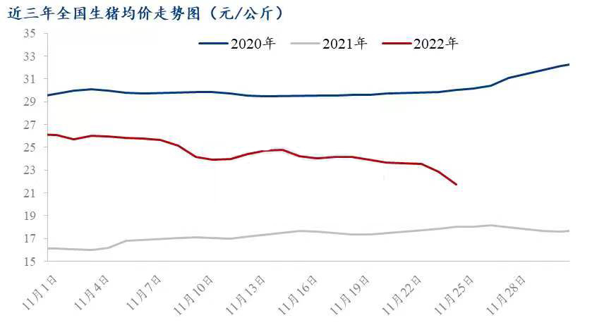 2022年猪价什么时候能反弹,生猪连跌6周猪周期拐点到了吗