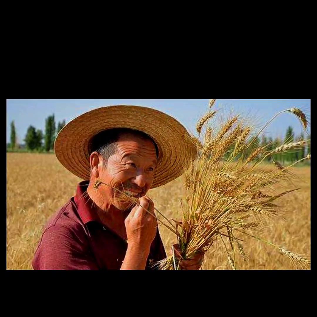 余华的许三观卖血记的解读,余华解读许三观卖血记