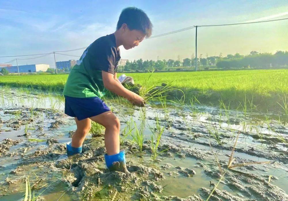 宁波9岁小学生超硬核！穿着足球服种田，网友赞不绝口！