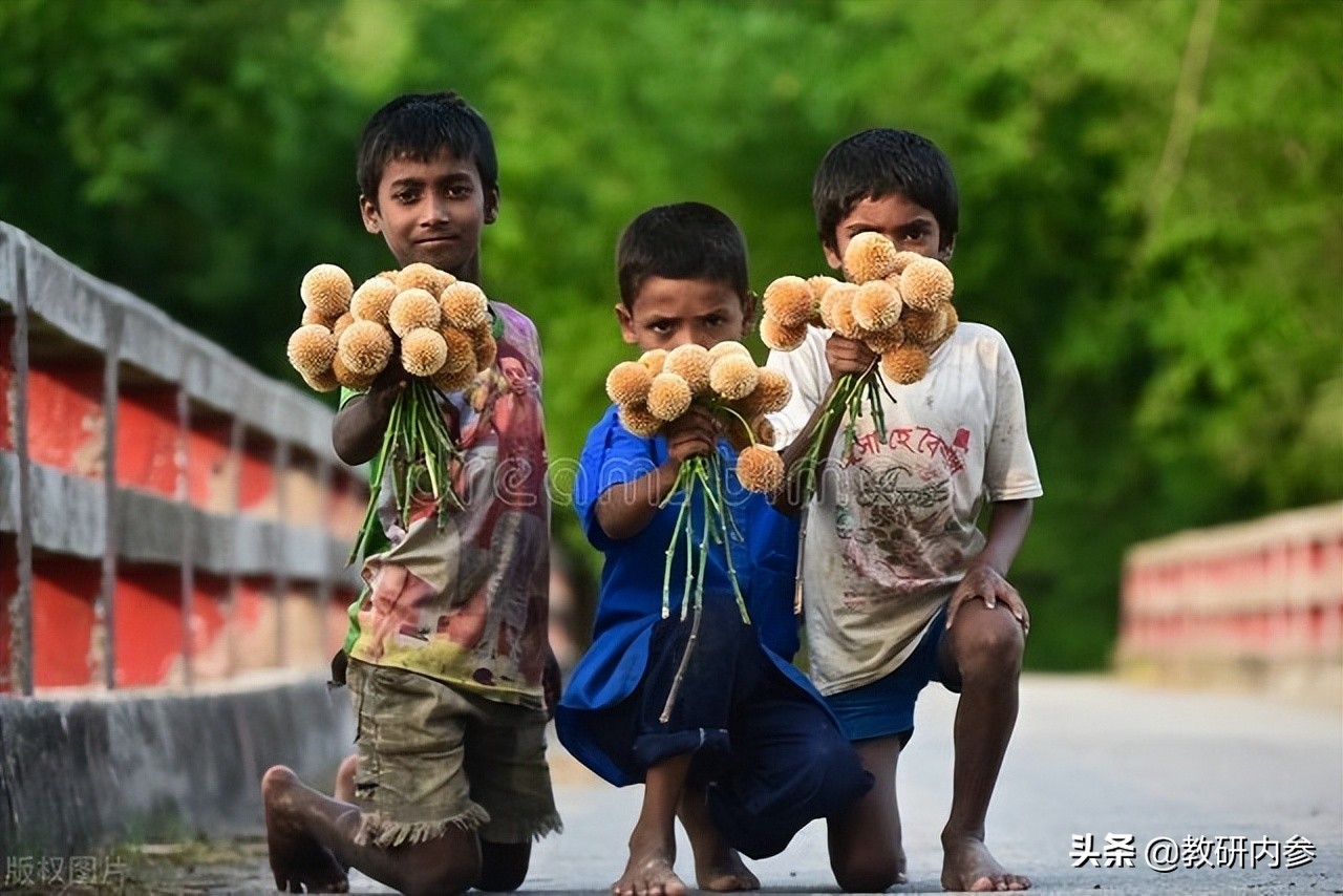 劳动与社会实践研究报告,幼儿园劳动教育实践研究工作报告