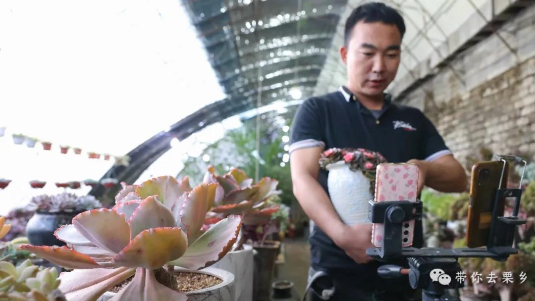 卖萌经济的生意经,卖萌致富