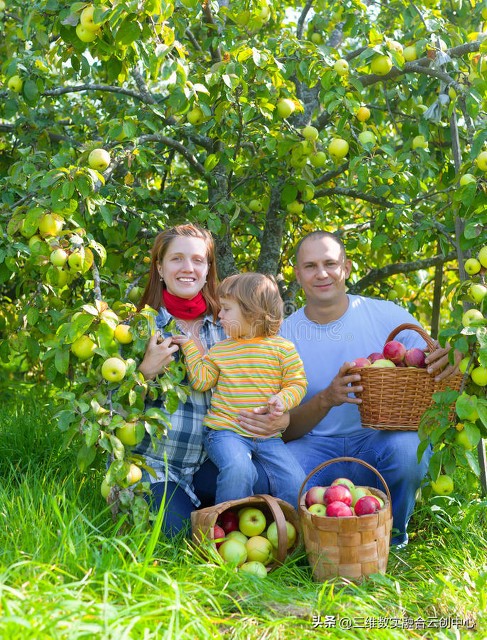 新型家庭农场的致富路,家庭农场的发展红利又将迎来高潮