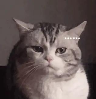 一年英国硕士含金量,英国硕士国内认可度