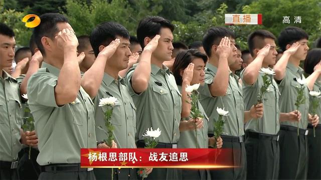 王宝强靠装疯卖傻成影帝甄子丹,傻根王宝强