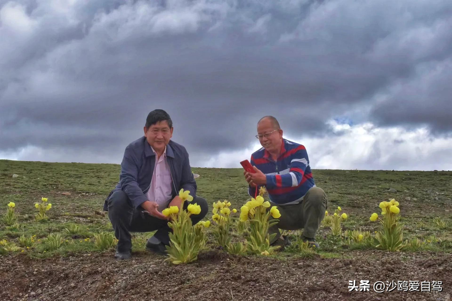 西藏自驾游三大圣湖,自驾西藏行摄之旅米堆冰川