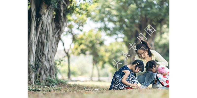 无意发现婆婆出轨了怎么办,发现婆婆出轨我可以告诉我娘家吗