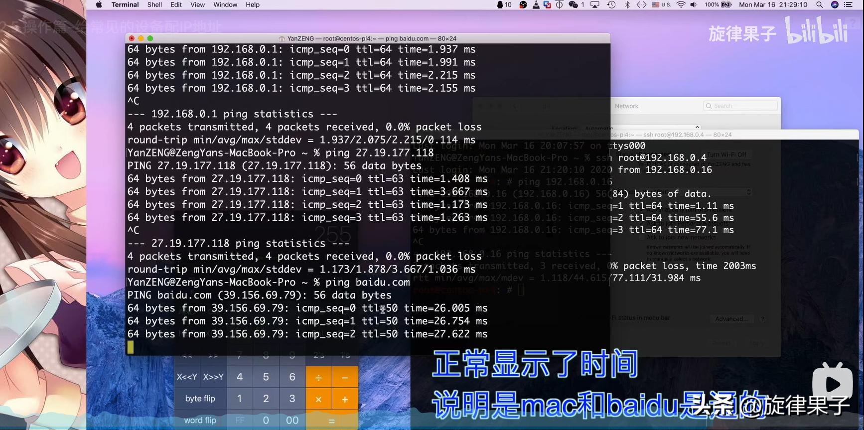 ip地址分配操作,mac地址绑定解决ip冲突