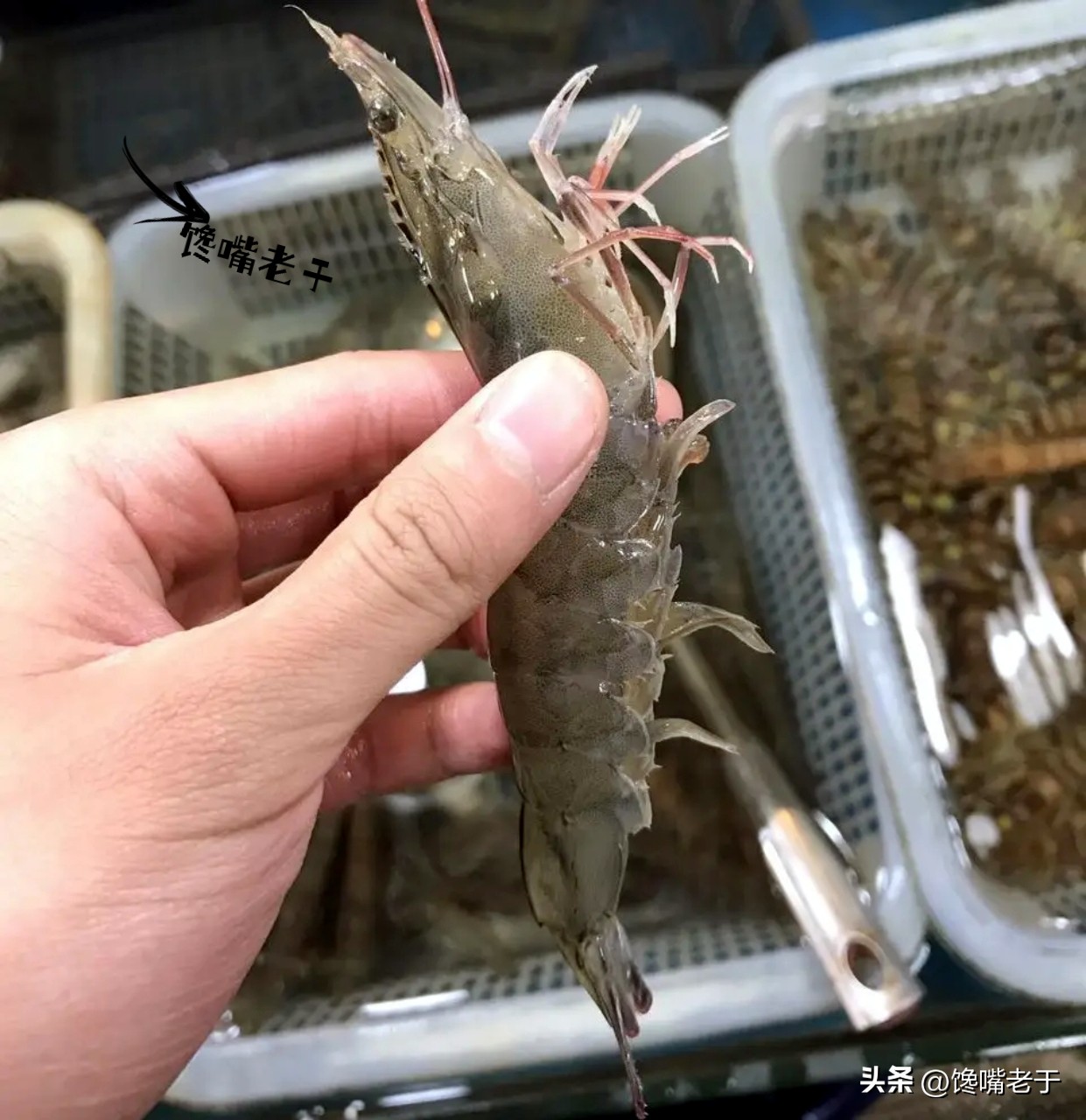 购买虾的正确方法和技巧,买虾要牢记这几点