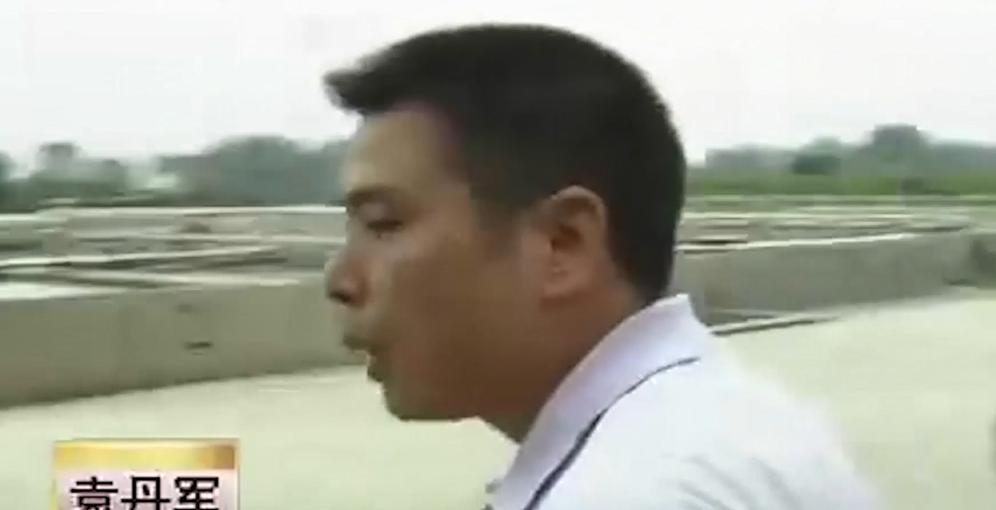 男子花20万买受伤鲶鱼,男子花20万买了一条受伤的鱼