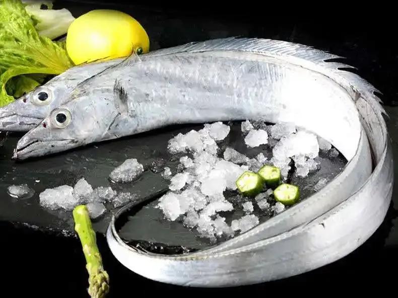 特大号新鲜带鱼,新鲜带鱼哪里买