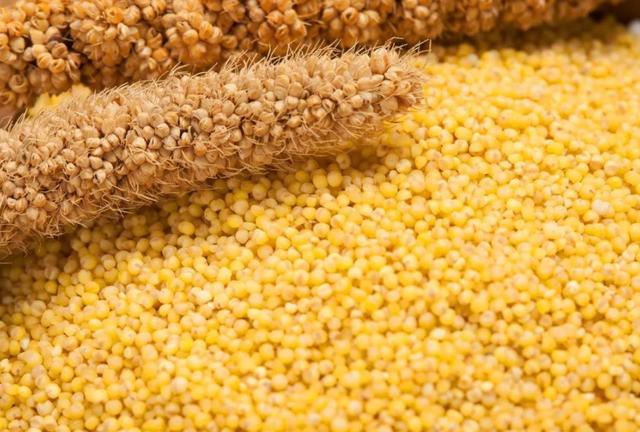 检查出尿蛋白“+”号，是得了肾病吗？常吃2物，或帮你降低尿蛋白